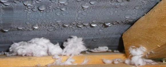 Attic Condensation Winter Leak