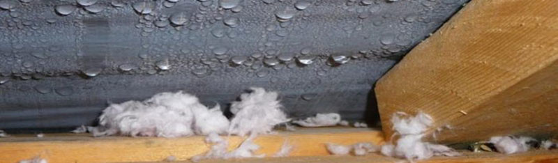 Attic Condensation Winter Leak